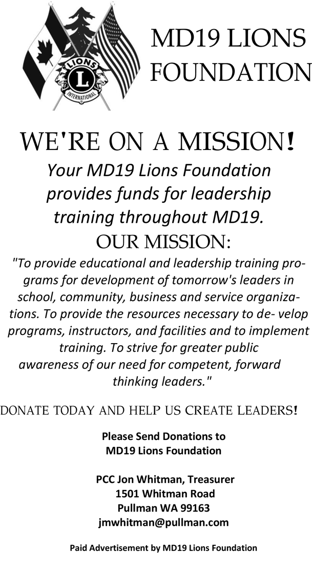 MD19 Foundation ad