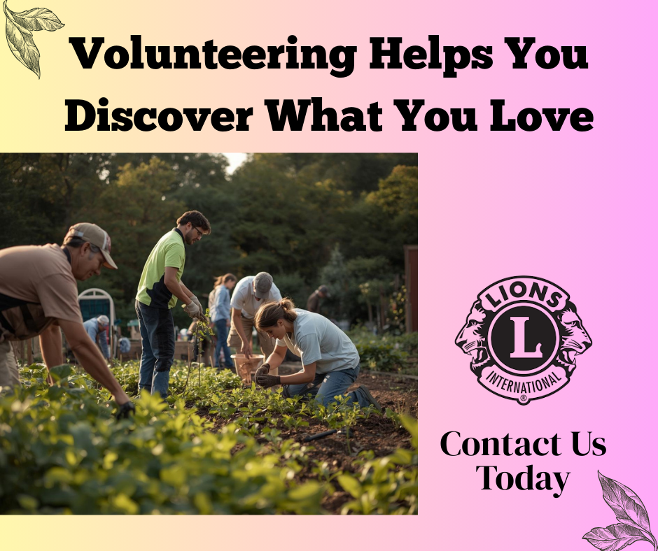 Document Thumbnail Image