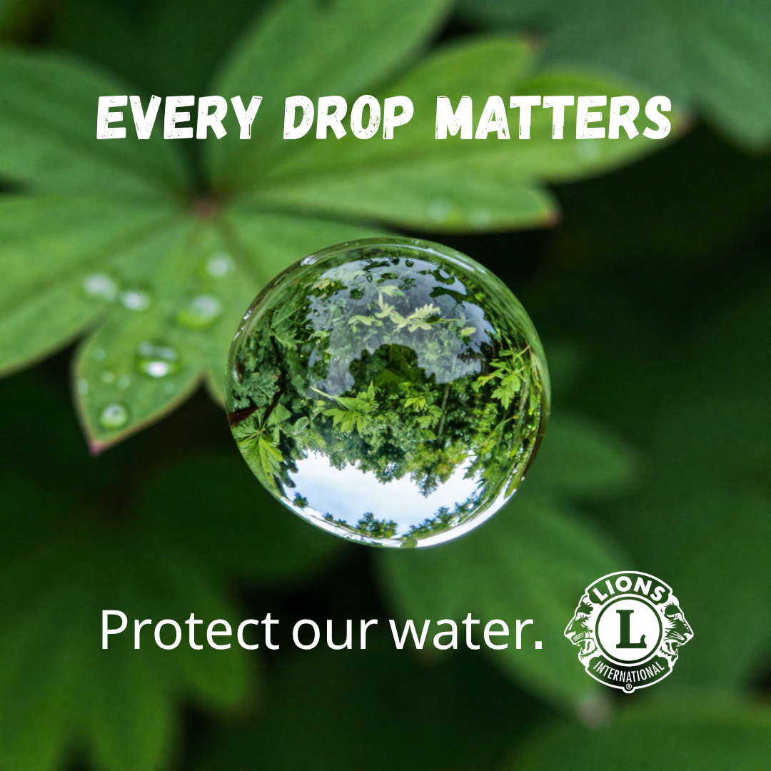 Document Thumbnail Image