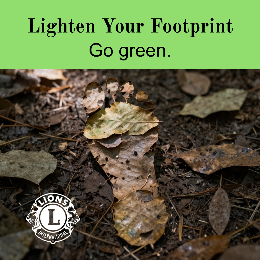 Document Thumbnail Image