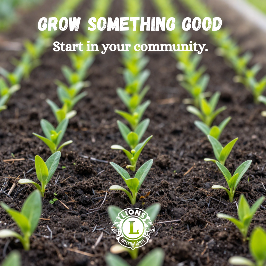 Document Thumbnail Image