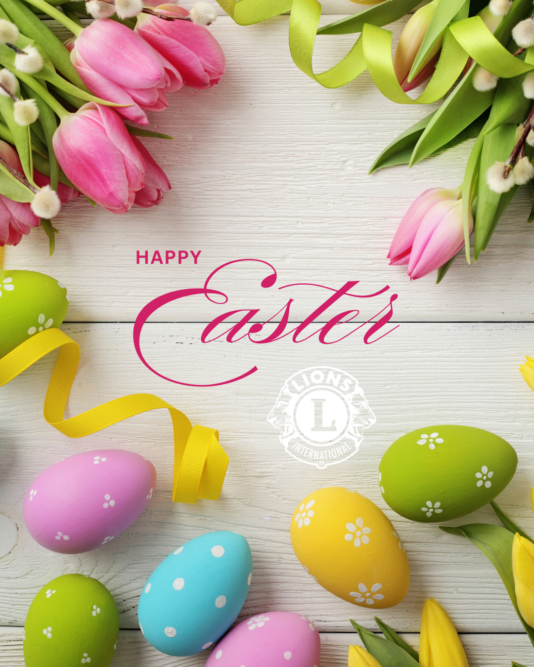 Document Thumbnail Image