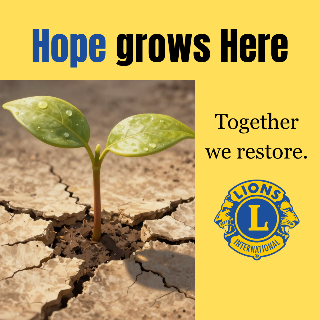 Document Thumbnail Image