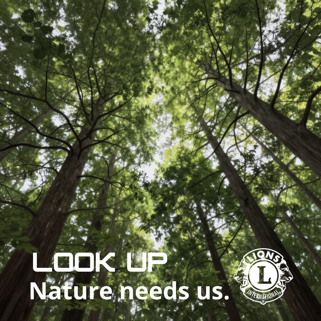 Document Thumbnail Image