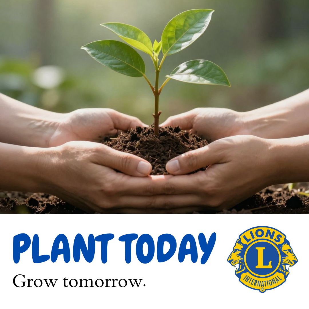 Document Thumbnail Image