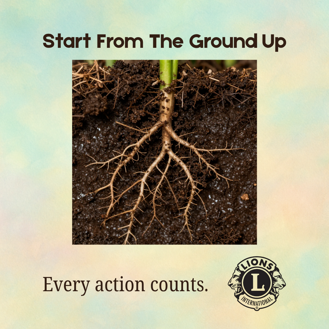 Document Thumbnail Image