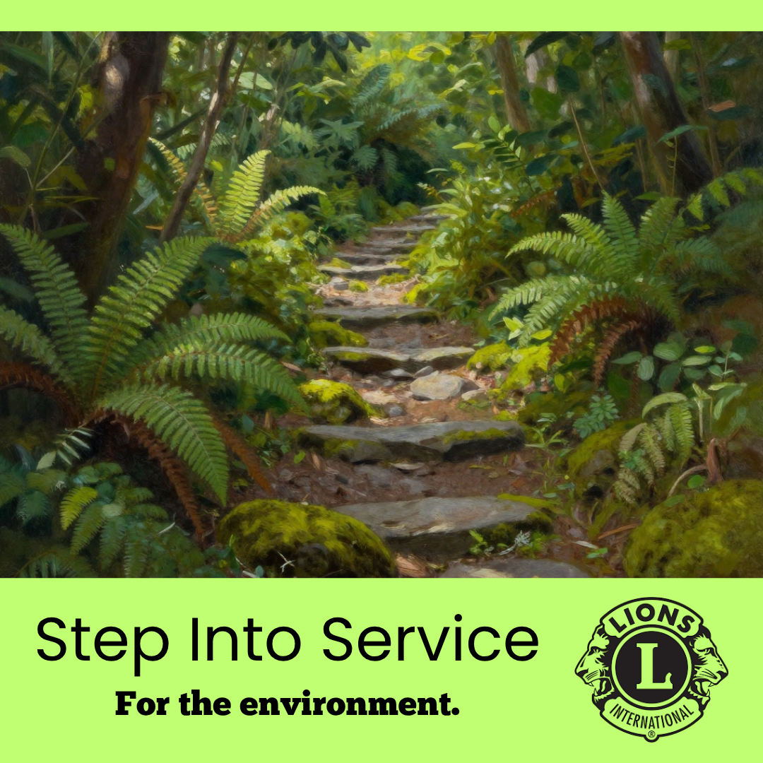 Document Thumbnail Image