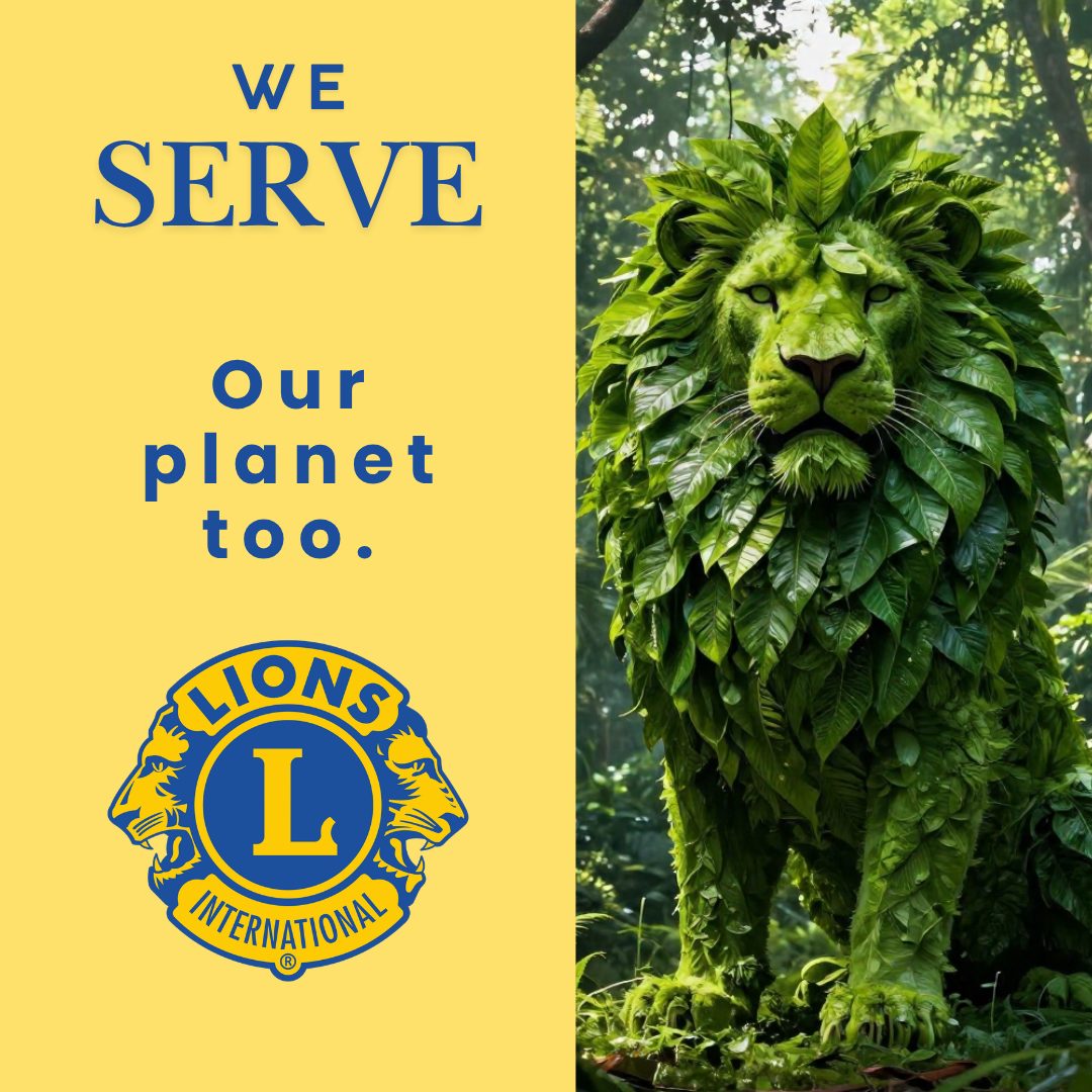 Document Thumbnail Image